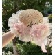 Miss Point Goose's Flower Basket Waistless OP(Reservation/3 Colours/Full Payment Without Shipping)